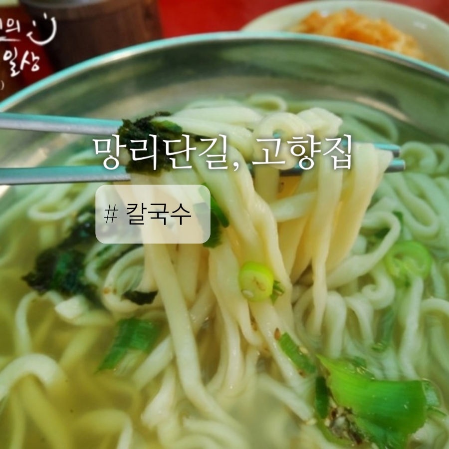 고향집 옛날 칼국수 이미지