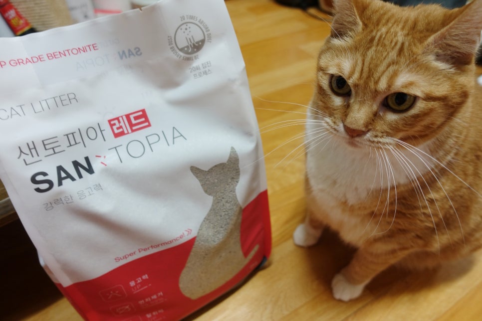 (주)랩토피아 이미지