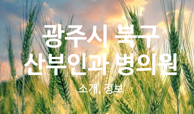 일곡양지요양병원 이미지
