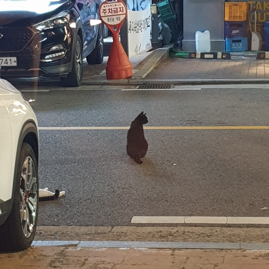 카페지음 이미지