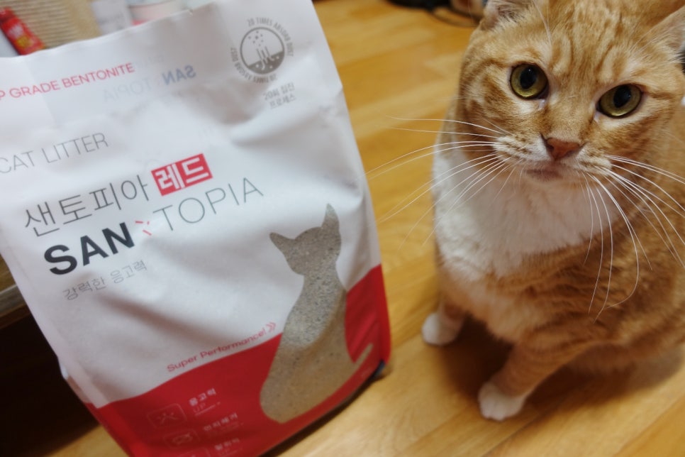 (주)랩토피아 이미지