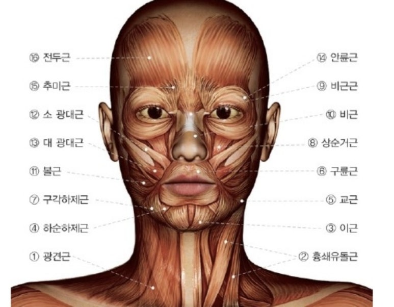육:굴 이미지