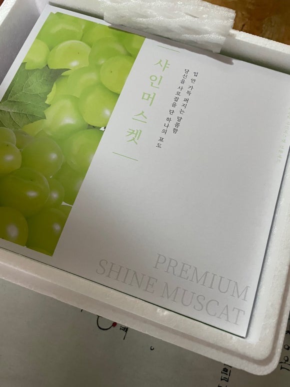 브라더샤인 이미지