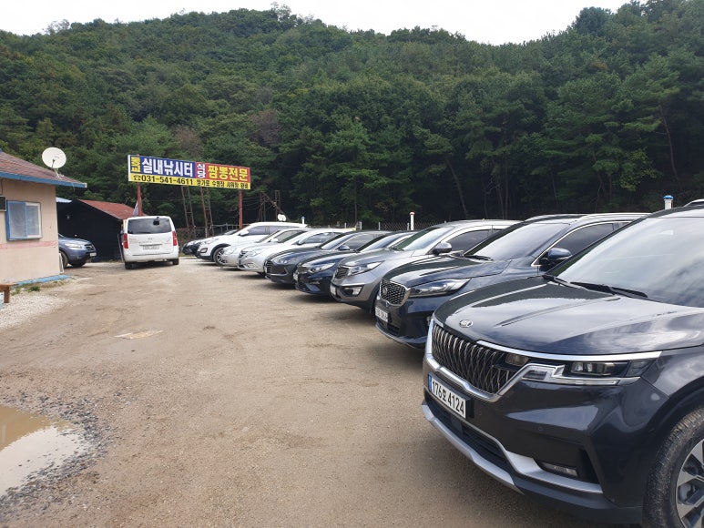 동교실내낚시터 이미지