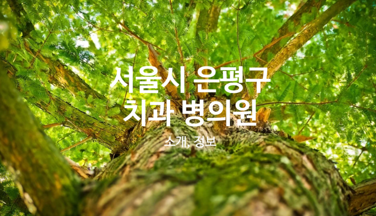 에이플러스치과의원 이미지