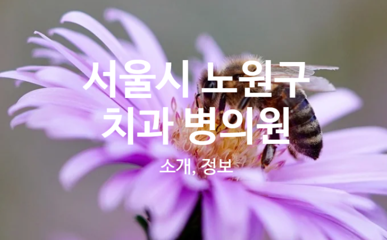 휴플러스치과의원 이미지