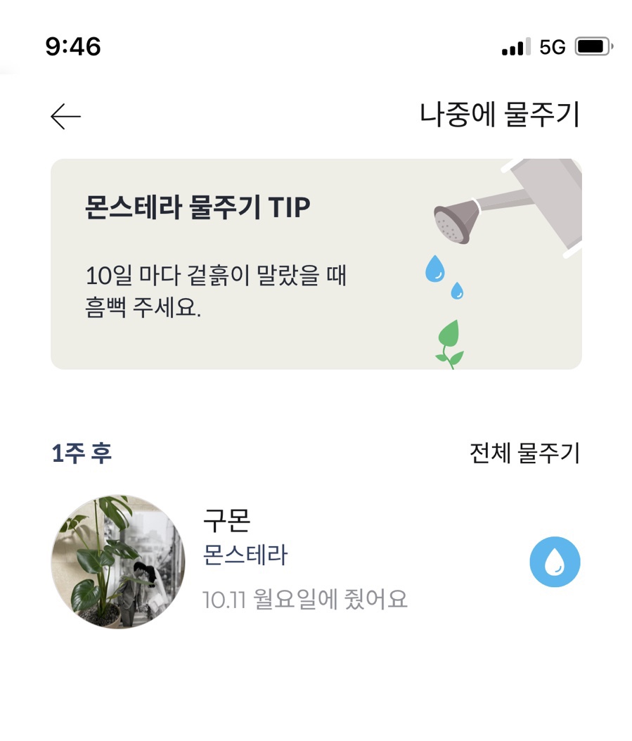 그린그린 이미지