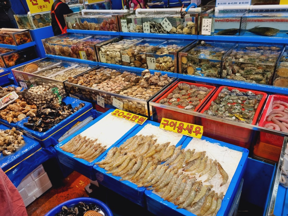 찬영수산 이미지