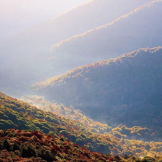 (주)실크로드시앤티 이미지