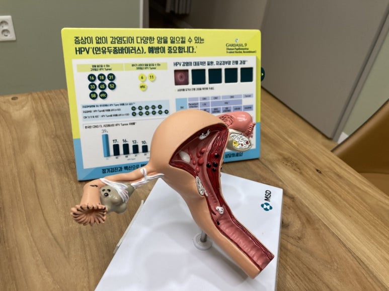 르네의원 이미지