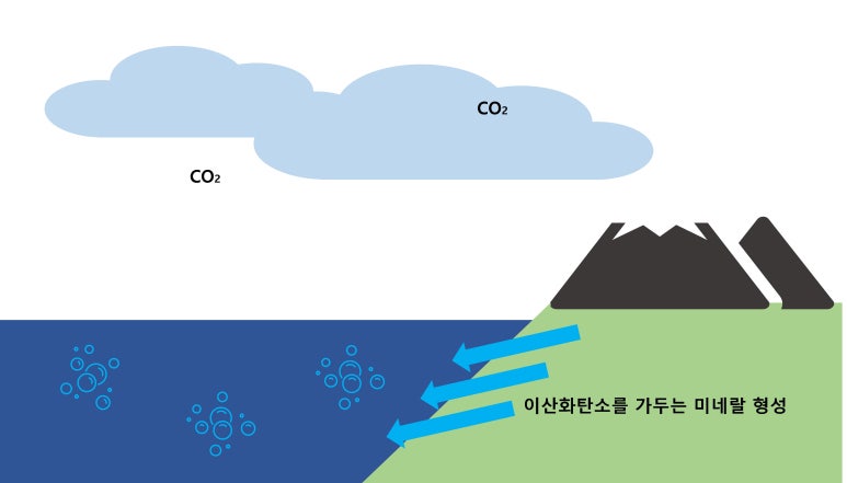 엘코시스템 이미지