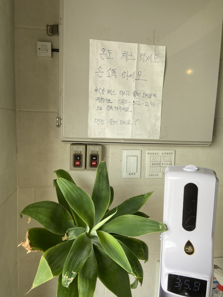 부뚜막손두부 이미지