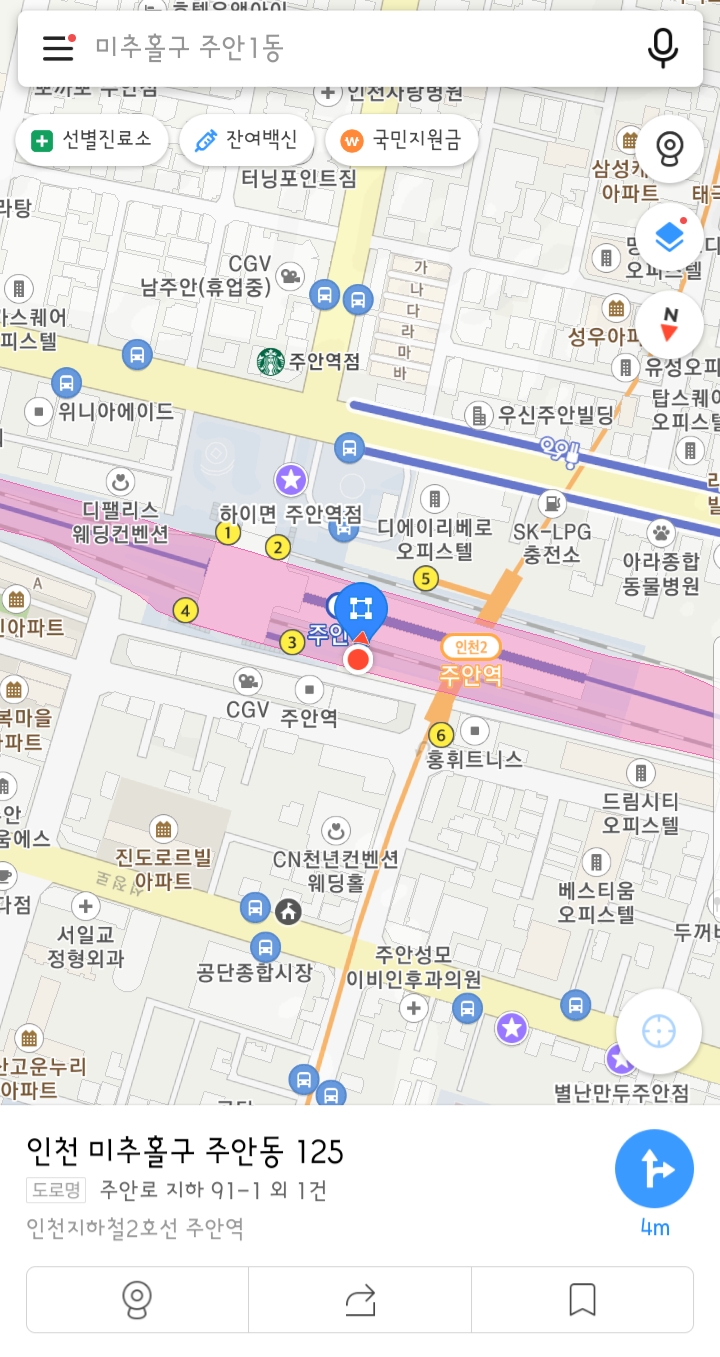 주안수선 이미지