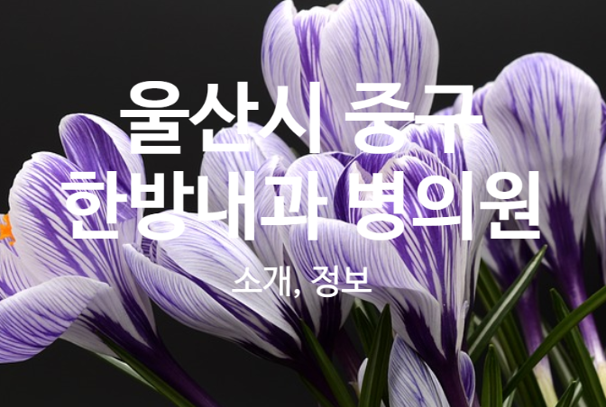 주보배의료재단주성혜요양병원 이미지