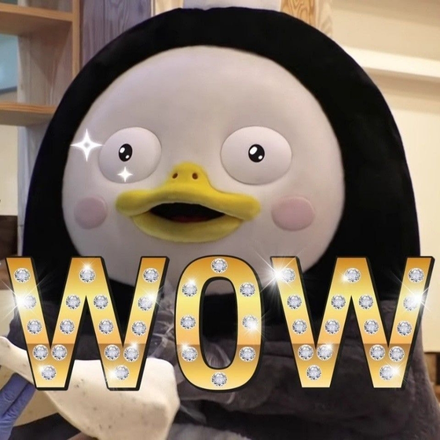 싸움의고수 이미지
