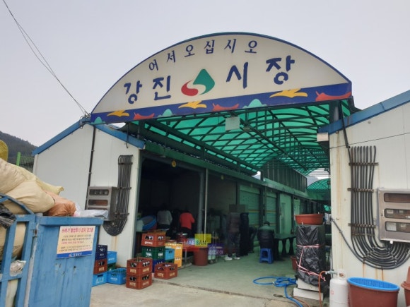 행운집 이미지