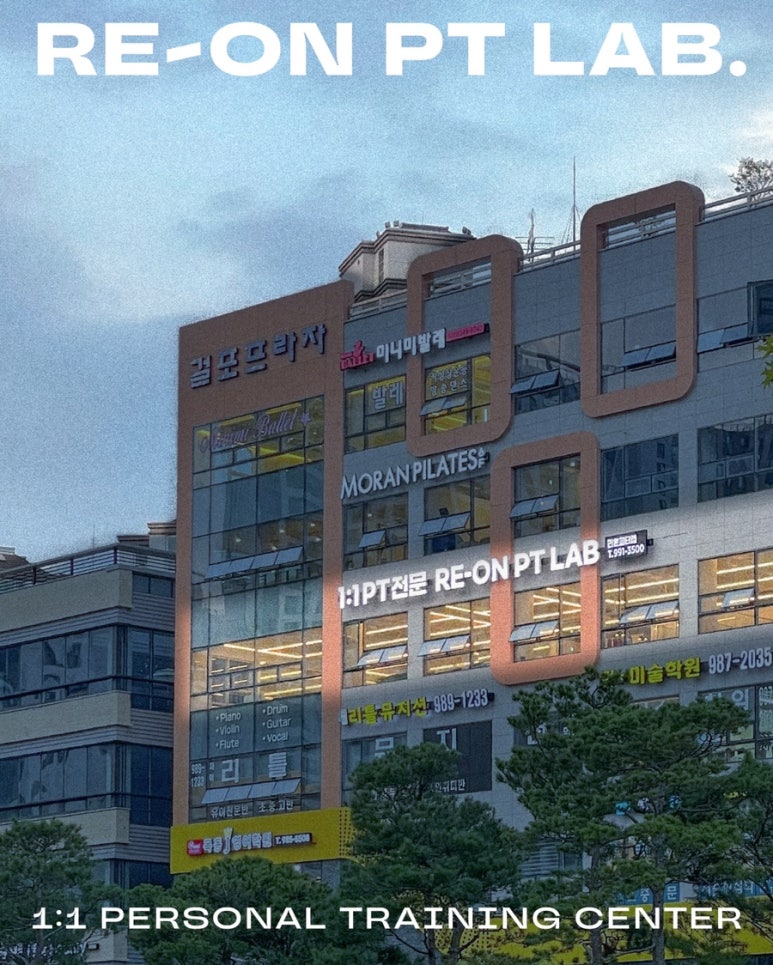 리온피티 이미지