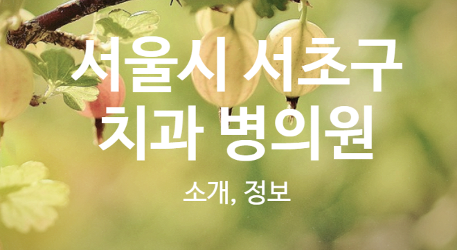 서울이엔이치과의원 이미지