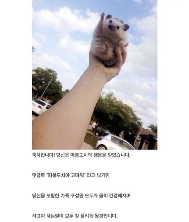 따봉 이미지
