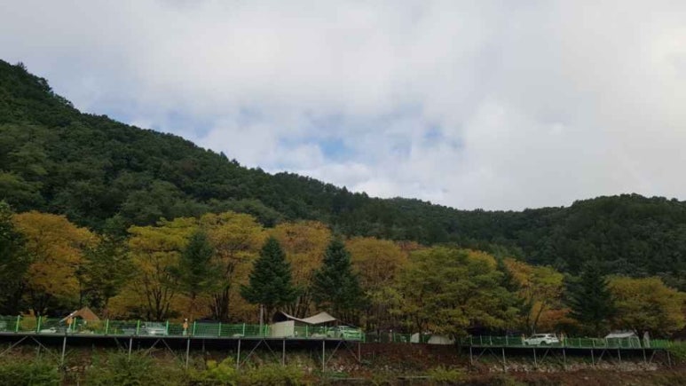 보물나라캠프 이미지