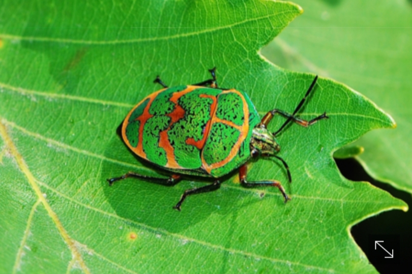 ON 숲 이미지
