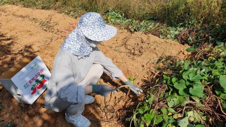 트리팜 관광농원 이미지