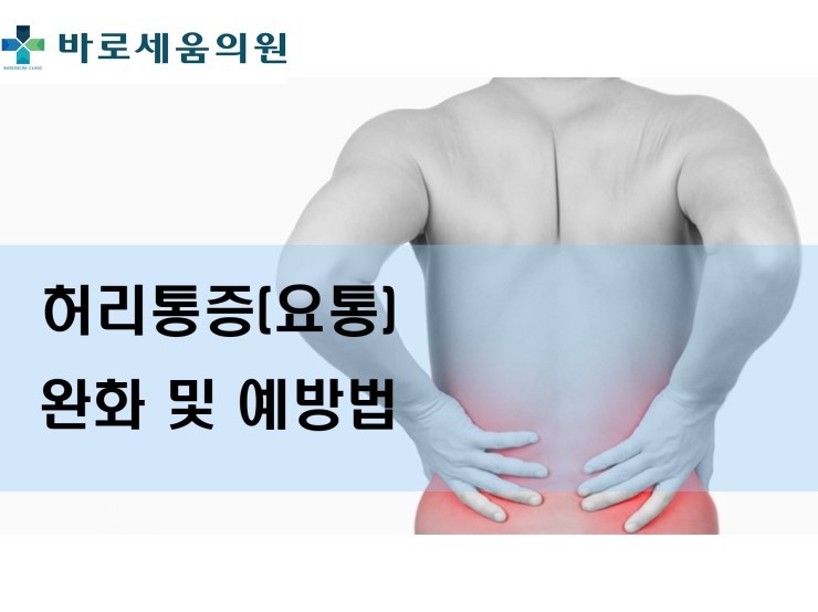 바로세움 이미지