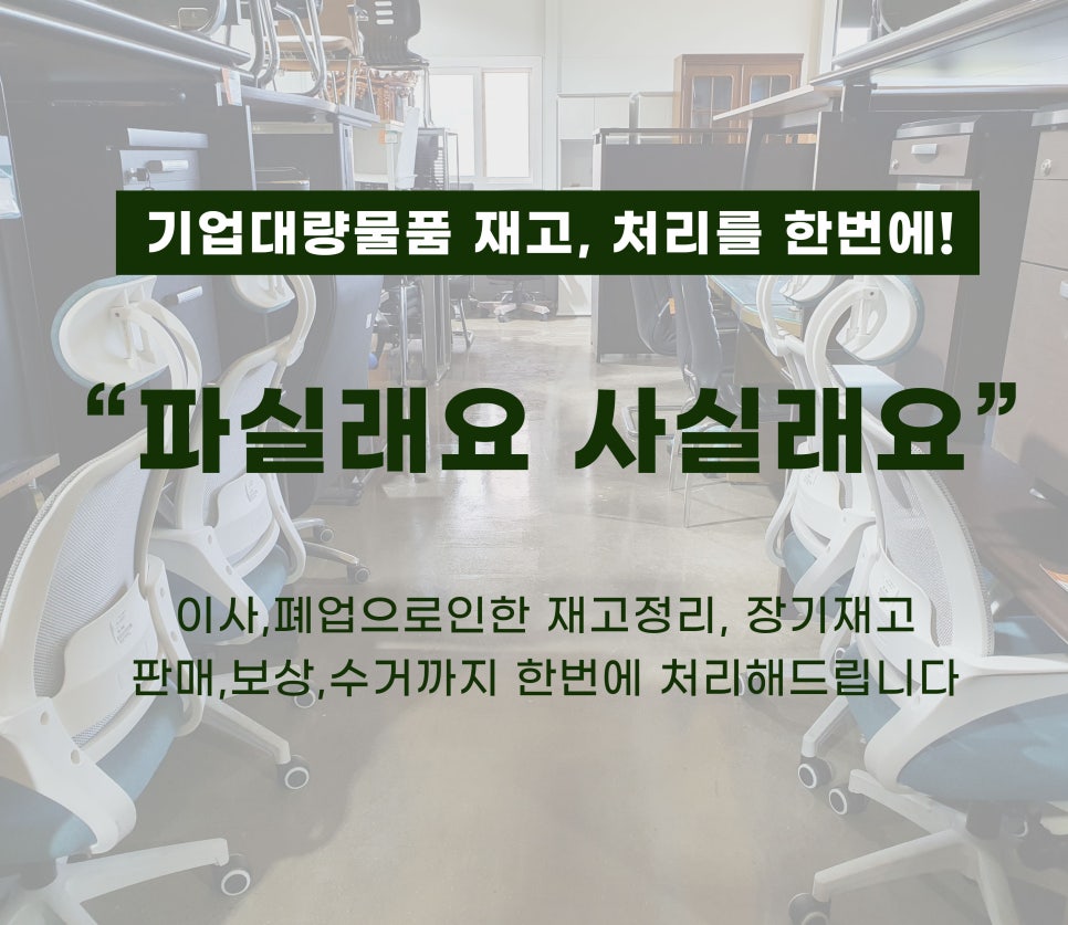 파실래요사실래요 이미지