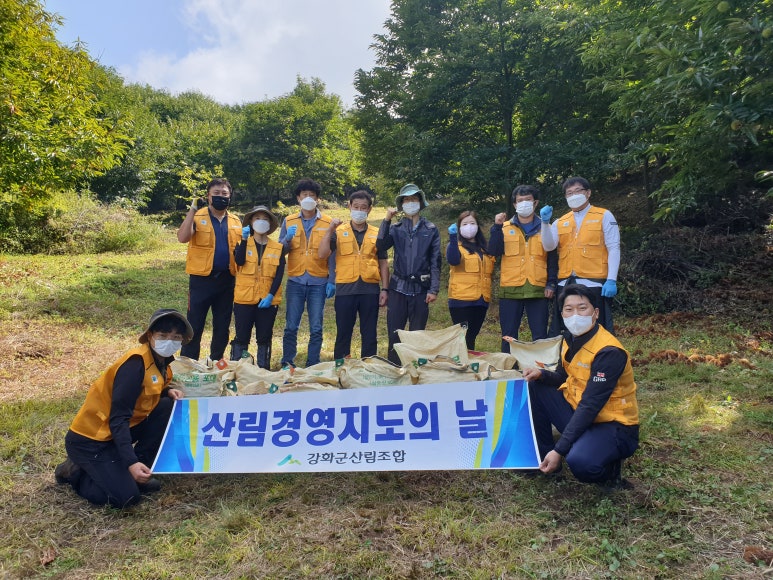 강화군 산림조합 이미지