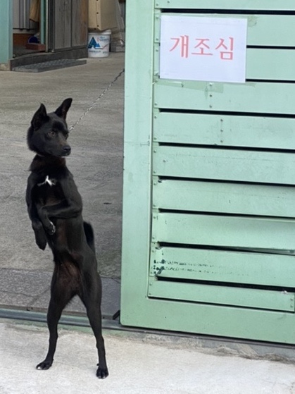 에이치린 이미지