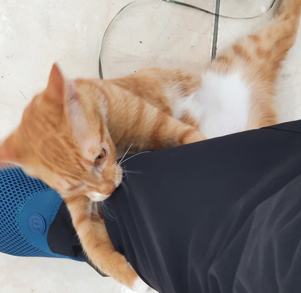 마이카존 이미지
