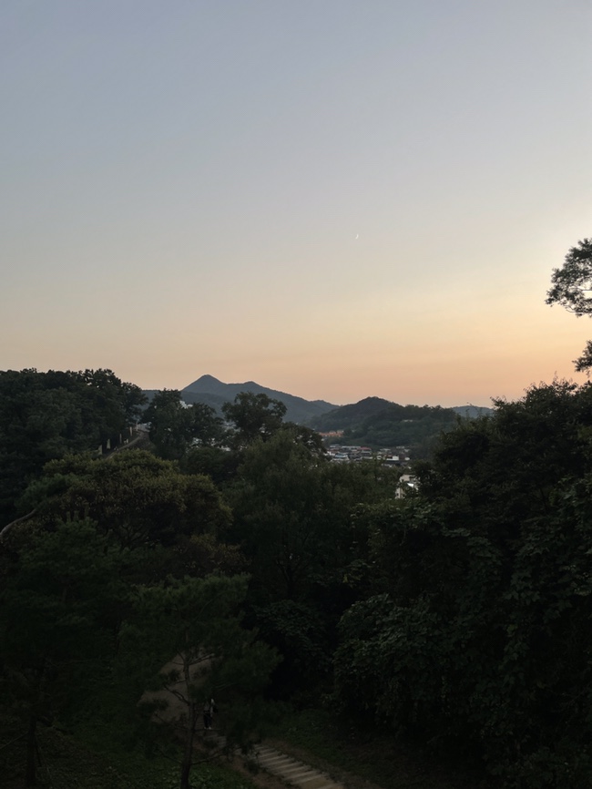 책방느리게 이미지