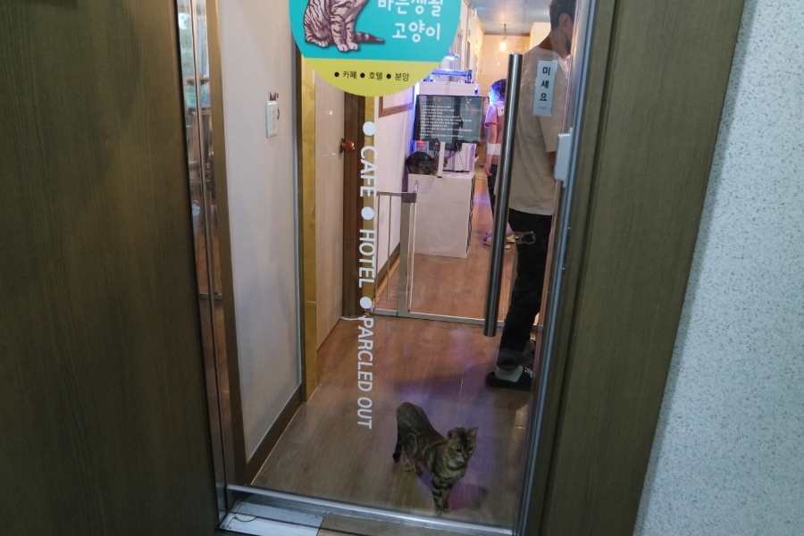 카페바른생활 이미지