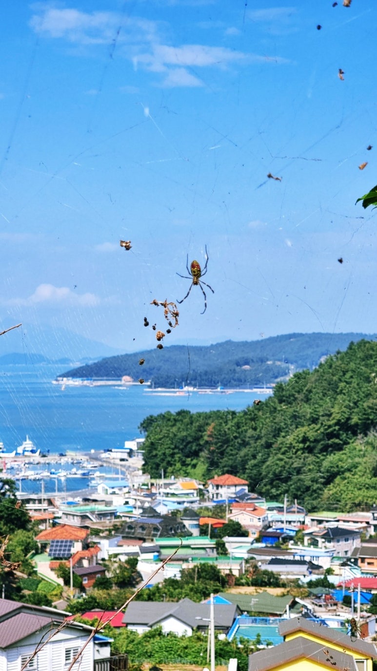 씨유 완도중앙점 이미지