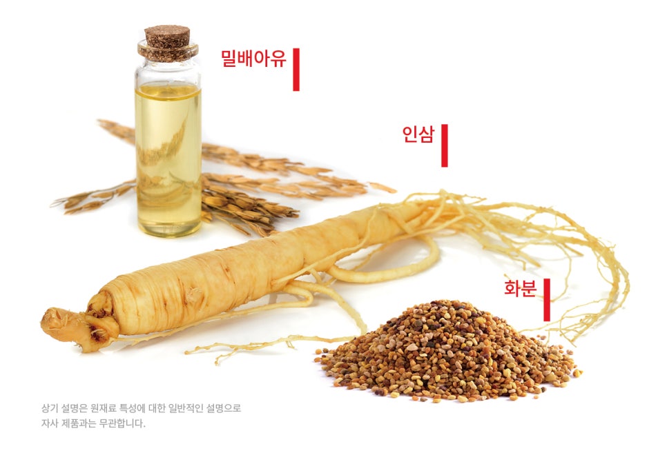 플러스에너지 이미지