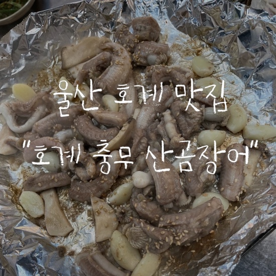충무산곰장어 이미지