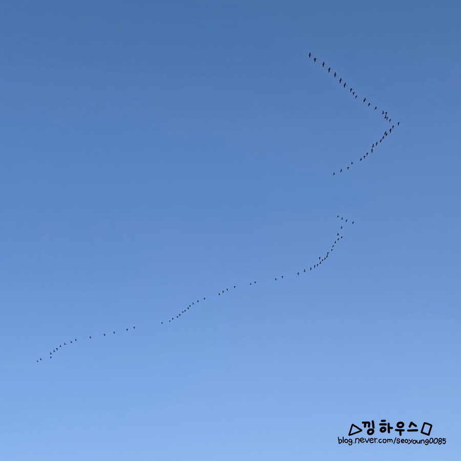 영종씨사이드레일바이크 이미지