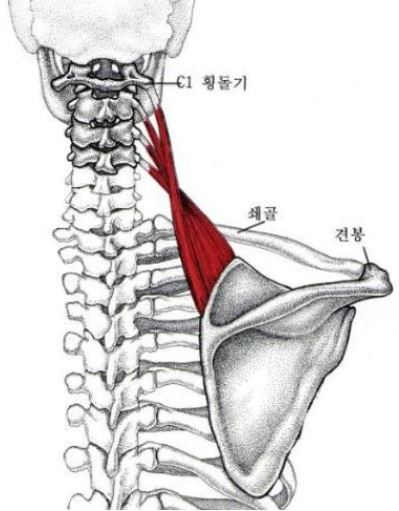 마천경희한의원 이미지