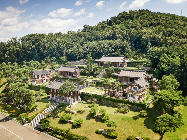 2021학년도 대구한의대 / 동국대 한의대 수시 입결 : 네이버 블로그