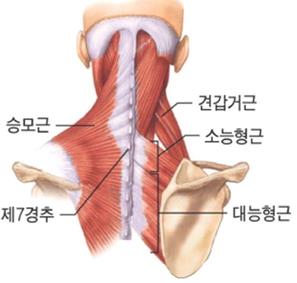 마천경희한의원 이미지