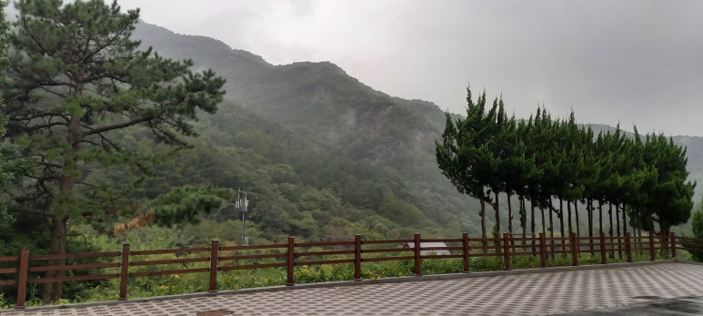 고산 산림교육센터 이미지