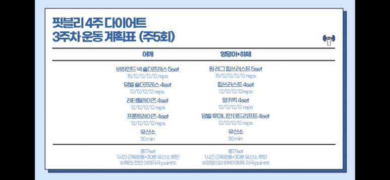 핏블리 이미지