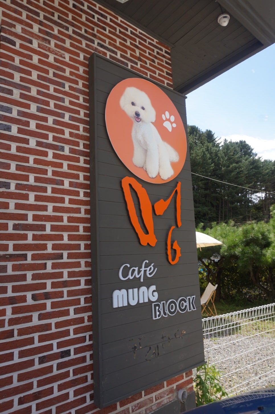 멍애견카페 이미지