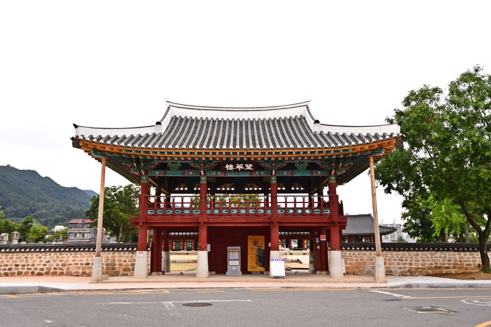 금성관광주 이미지