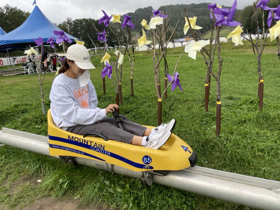 진부관광농원오대산 이미지
