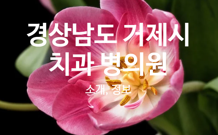 삼성탑치과의원 이미지
