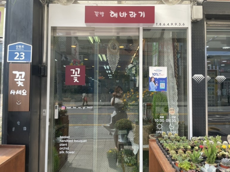 꽃방해바라기 이미지