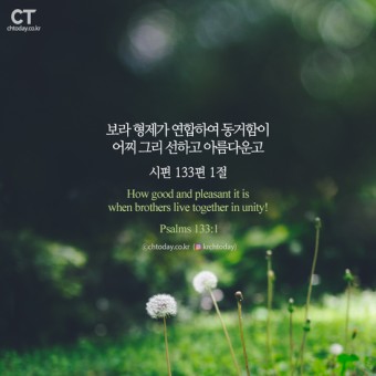 에클레시아의아침 이미지