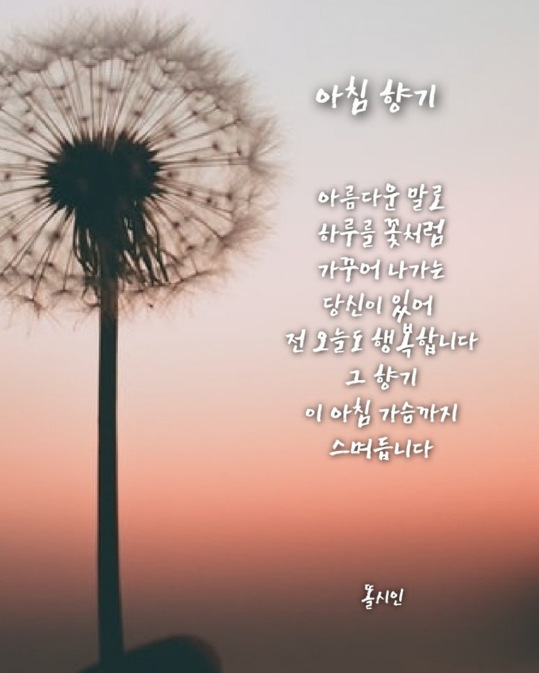 아침향기 이미지