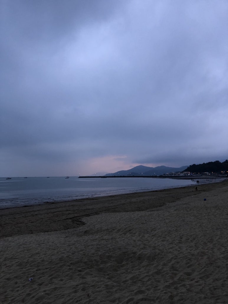 보성녹차오리탕 이미지